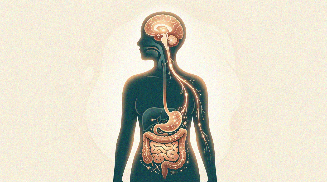 Alimentation et microbiote intestinal