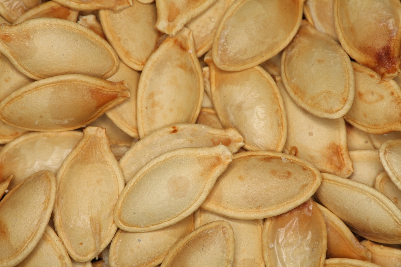 Graines de courge vertes décortiquées présentées en gros plan