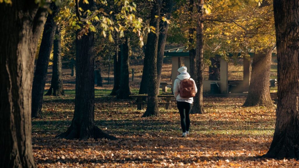 Vitamine d a l automne reperes alimentaires et conseils